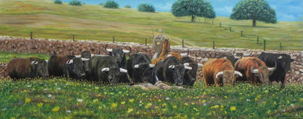Campo bravo