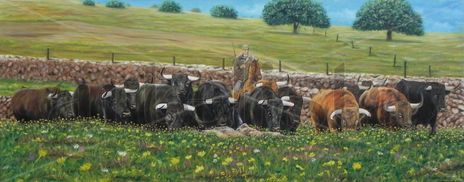 Campo bravo