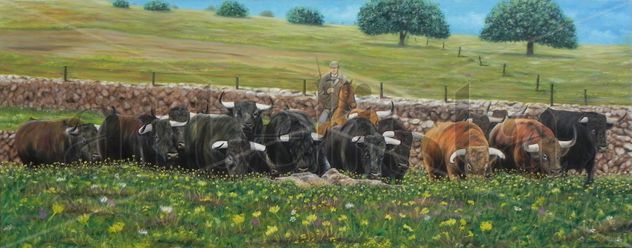 CAMPO BRAVO