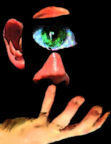 Sentidos