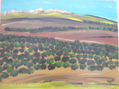 Sierra de Alcaraz (Albacete) (No Disponible)