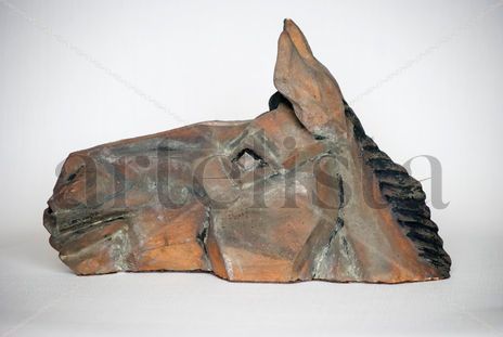 Cabeza de burro