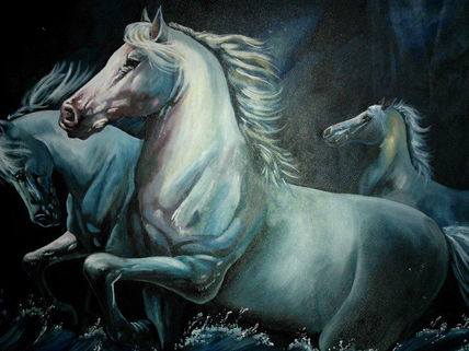 Libres en el mar