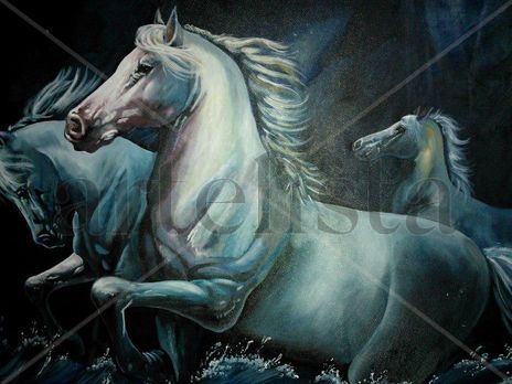 Libres en el mar