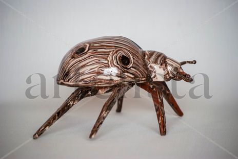 Escarabajo
