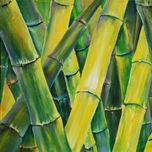 Paisaje thumbnail 1