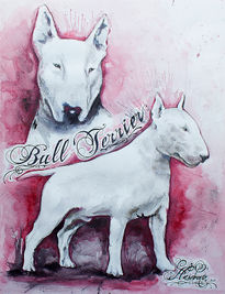 Bull Terrier