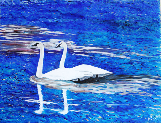 cisnes