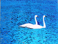 Cisnes