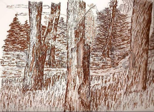 Bosque pinamarense