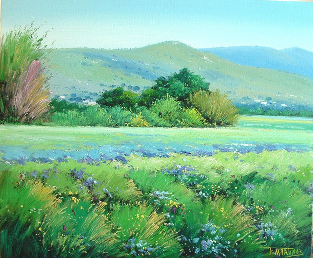 azules Oil Canvas Landscaping