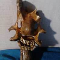 obra