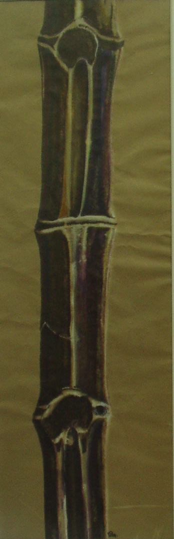 bambu