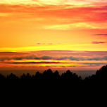 Fotografía thumbnail 1