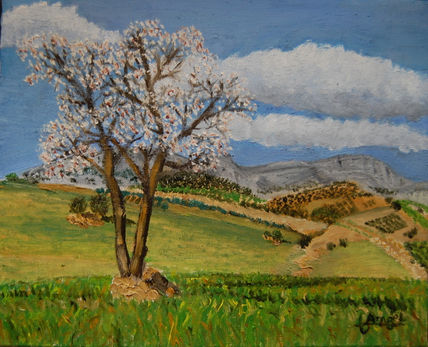 Almendro