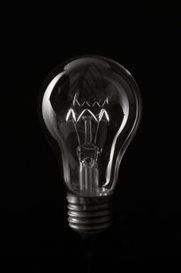 Bulb