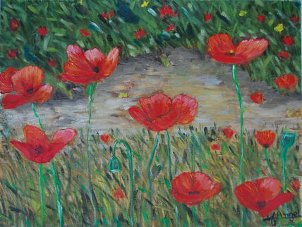 Campo de amapolas
