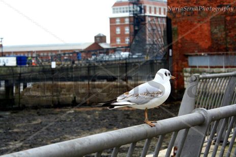 Winter in Portsmouth