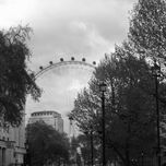 Nature thumbnail 1