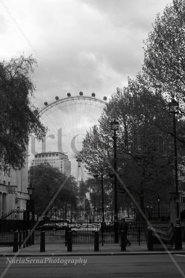 Winter in London Naturaleza Blanco y Negro (Digital)