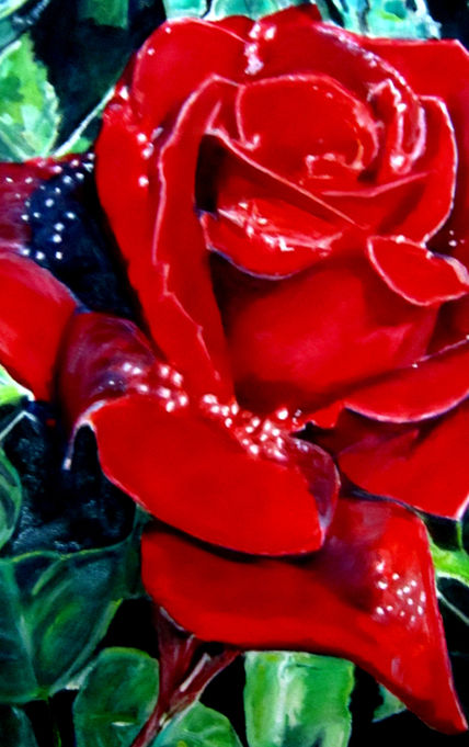 Rose