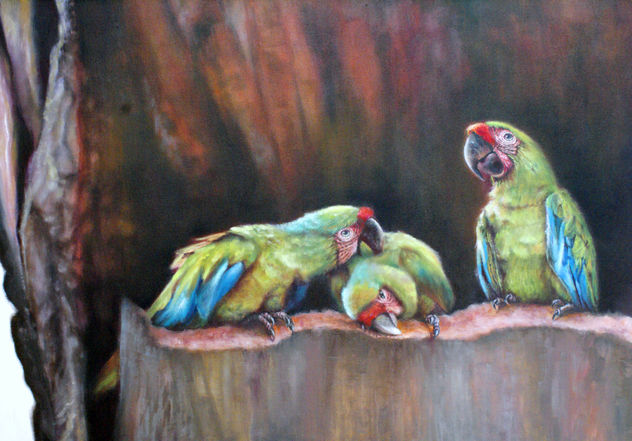 Guacamayo del Guayaquil