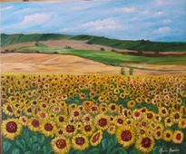 Campo de girasoles