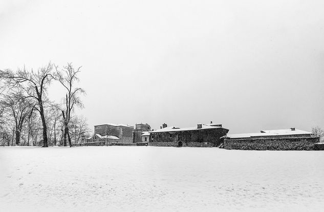 Cold Palace Arquitectura e interiorismo Blanco y Negro (Digital)