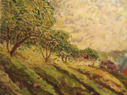 Árboles en primavera