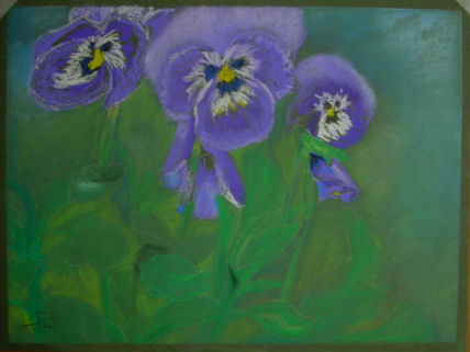 Flores