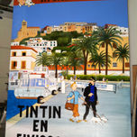 TINTIN thumbnail 2