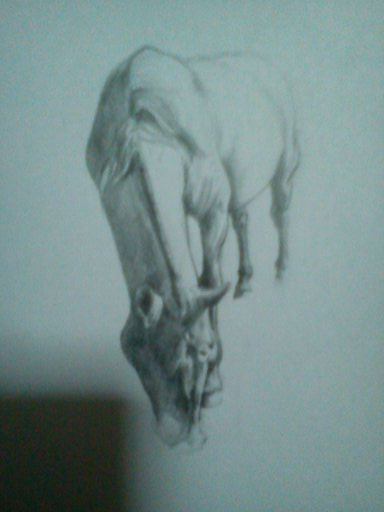 caballo Pencil