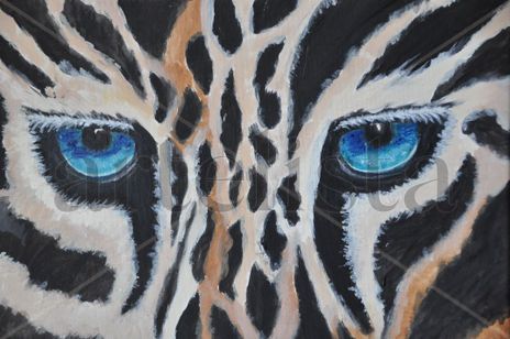 Mirada felina