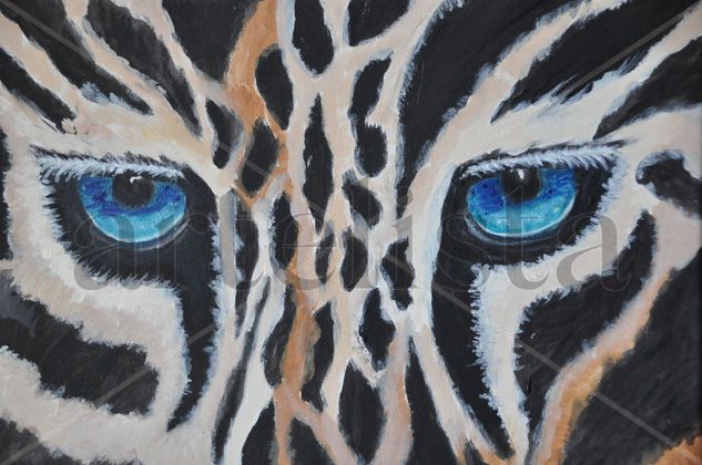 Mirada felina Acrylic Canvas Animals