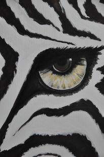 Ojo de zebra