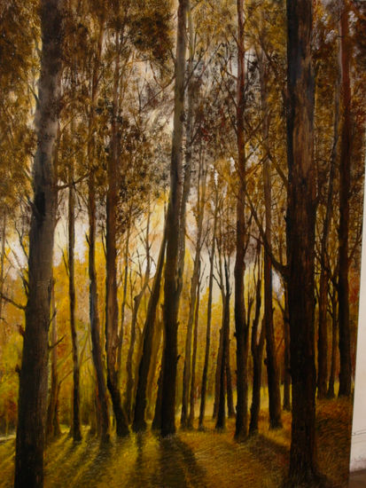 CONTRALUZ EN BOSQUE DE MAR DE LAS PAMPAS-PROV. BUENOS AIRES Oil Panel Landscaping