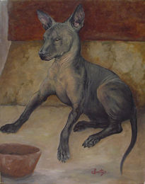 Xolo del rey