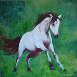 caballos thumbnail 1