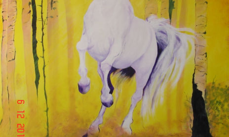 caballos