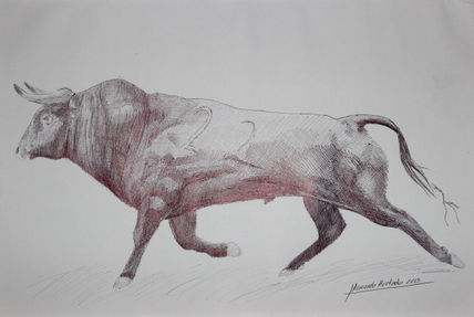 El Toro