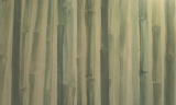 murales.
