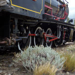 La Trochita thumbnail 2