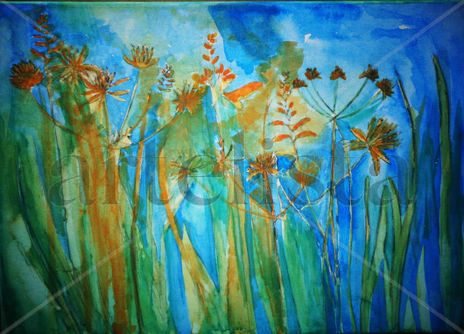 Flores silvestres...