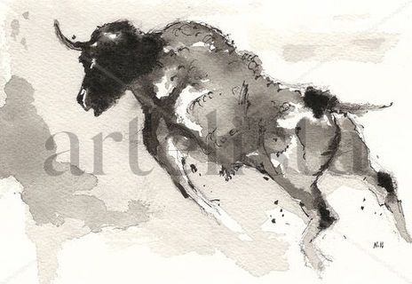 Toro