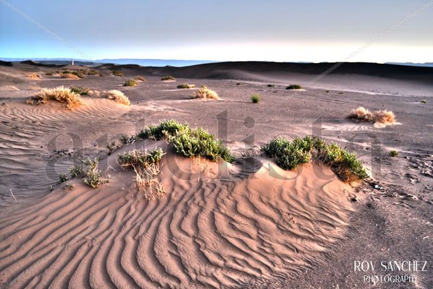 sahara Naturaleza Color (Digital)