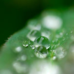 macros thumbnail 2