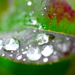 macros thumbnail 1