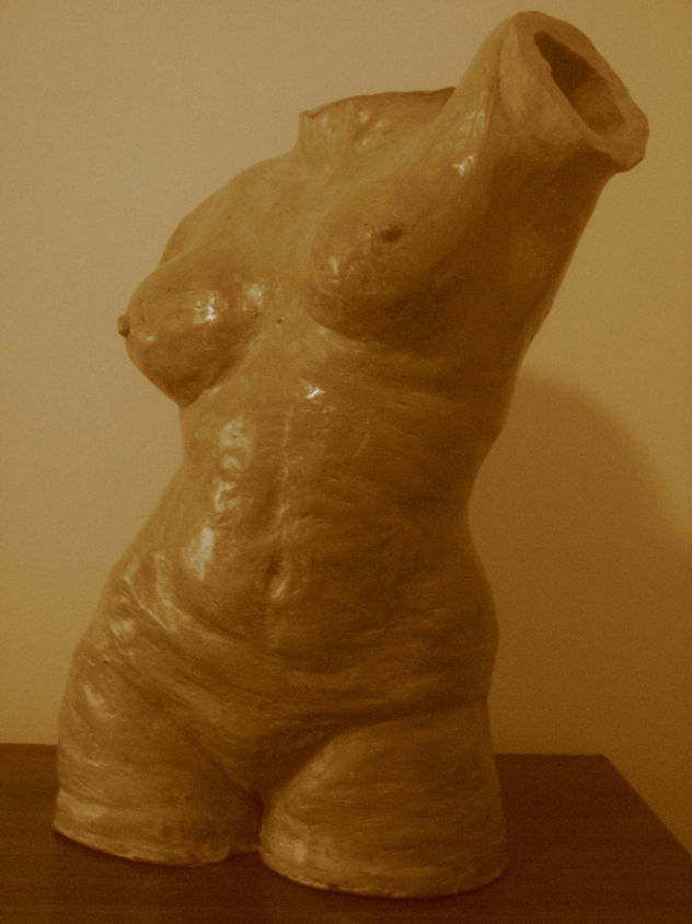 torso femenino