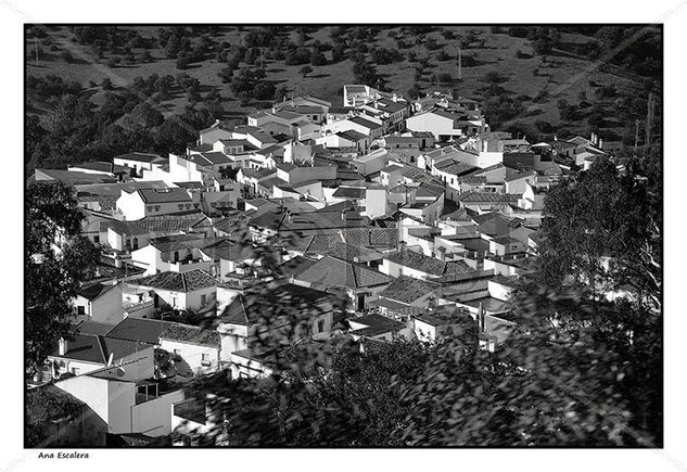 El bosque Viajes Blanco y Negro (Digital)