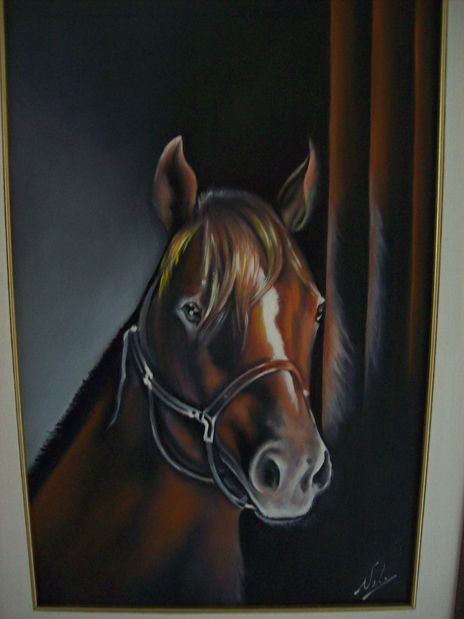Caballo